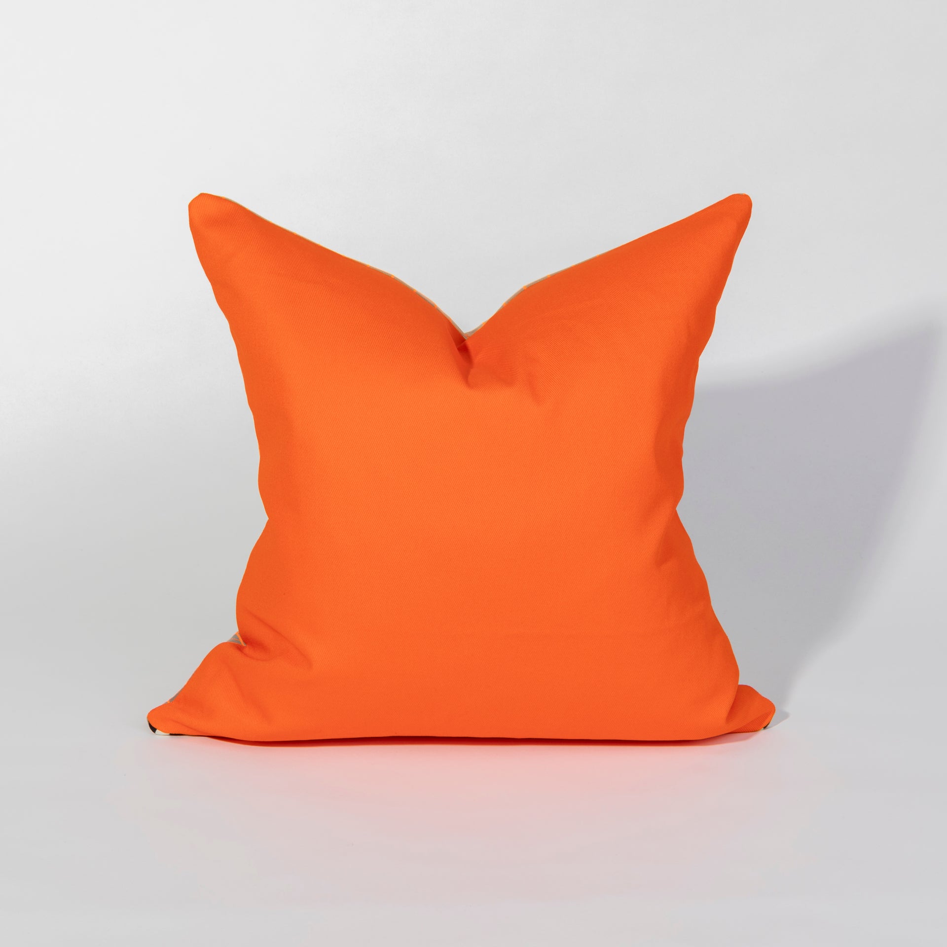 Pillow #25