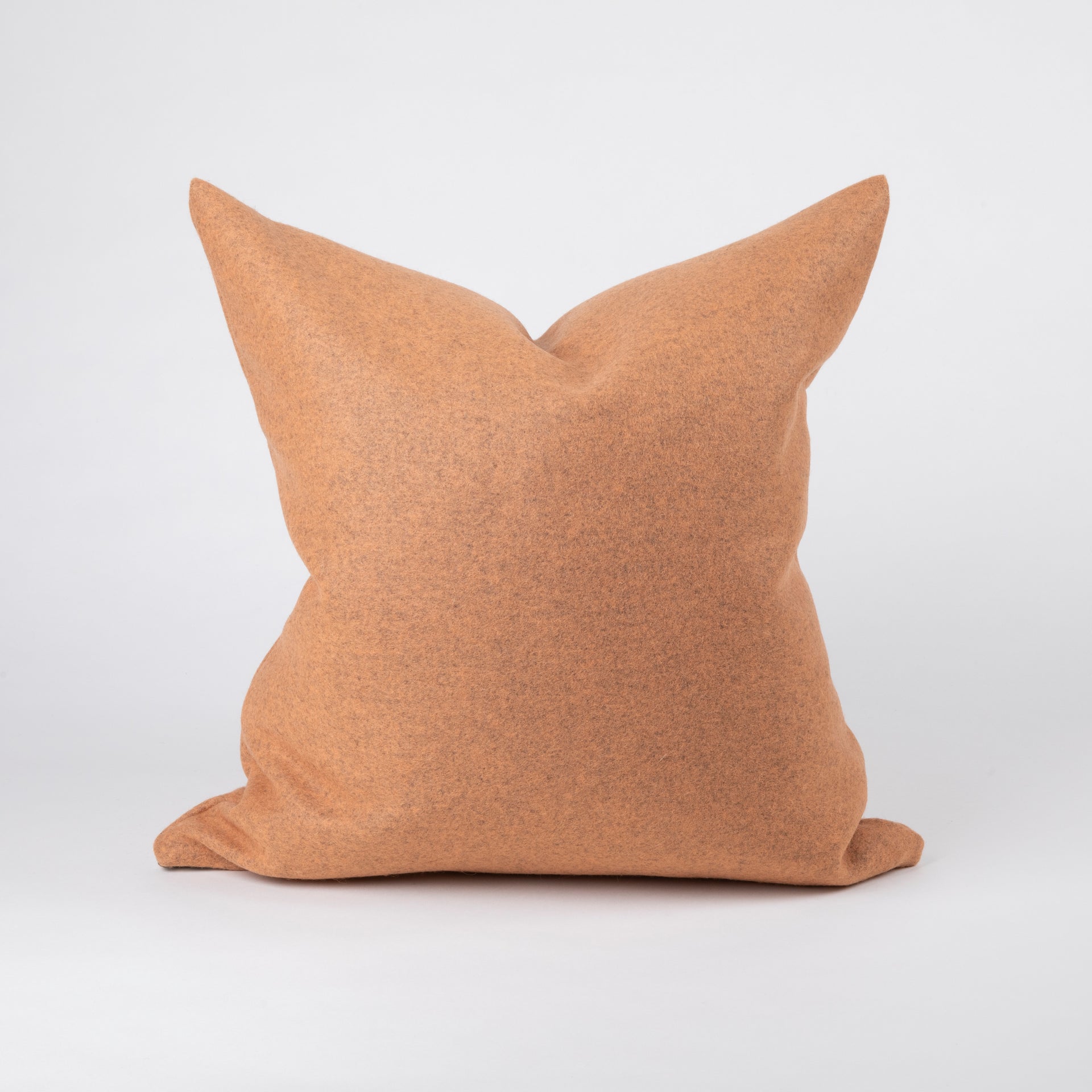 Pillow #65 MADE FOR ALL